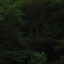 Анастасия аватар
